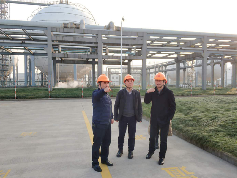 1548724195529963.jpg 2.jpg