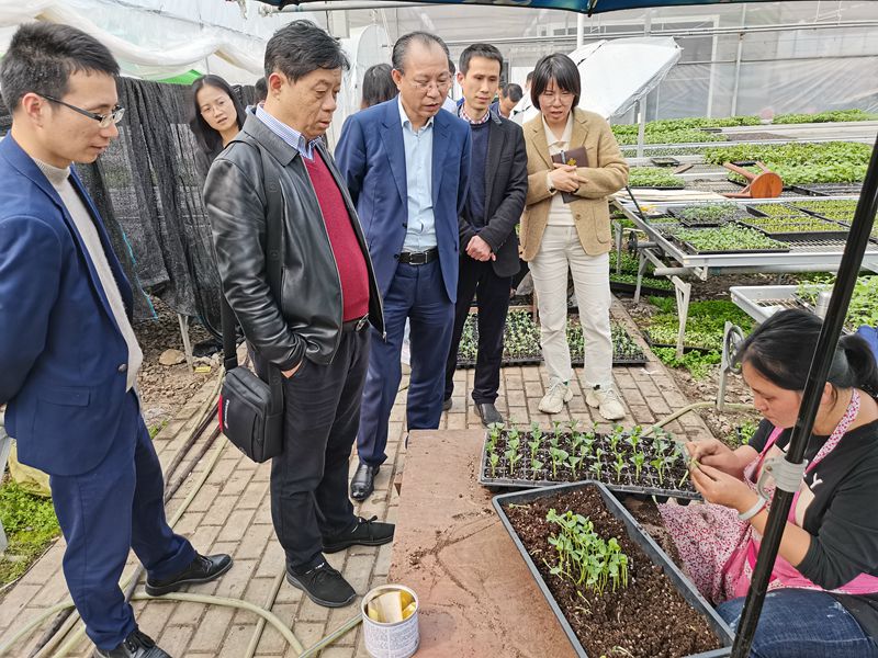 1617271027610774.jpg 參觀瑞安市馬嶼為農服務中心2_副本.jpg