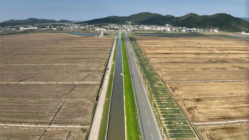 鹽堿地蝶變豐產田！浙農科技岱山項目打造“未來生態農場”