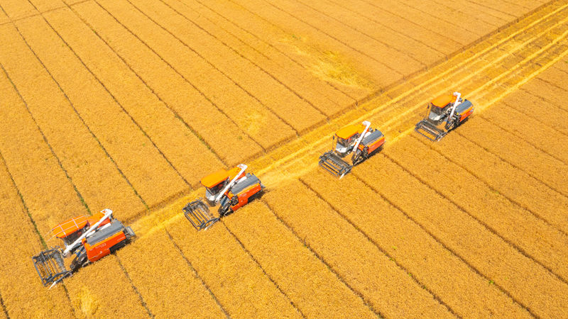 《朝聞天下》《浙江新聞聯(lián)播》關(guān)注嘉善浙農(nóng)耘糧油未來農(nóng)場秋糧收儲工作