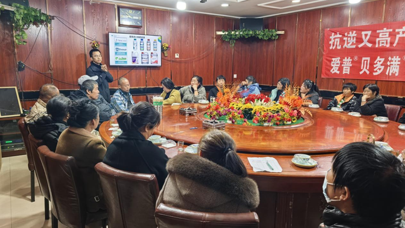 愛(ài)普科技在遼寧盤錦舉辦葡萄科學(xué)施肥培訓(xùn)暨產(chǎn)品推廣會(huì)