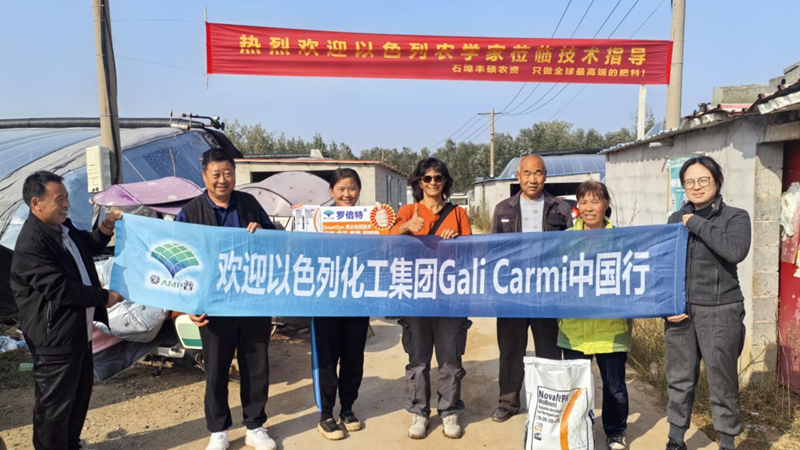 愛(ài)普科技攜以色列專家赴東海縣開展西紅柿種植技術(shù)指導(dǎo)